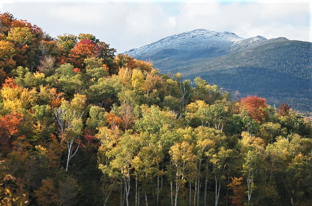 mt washington in snow and autumn leaves